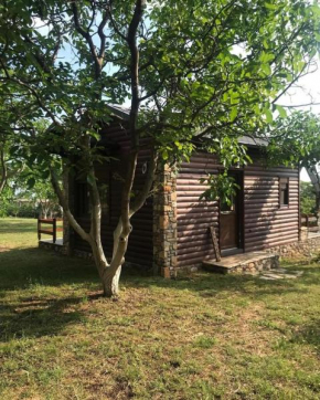 Olympus Horse Riding Club Wooden Horse House Saphira